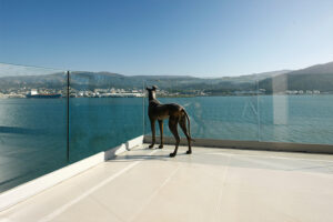 UNEX Frameless Glass Balustrade - No Top Rail